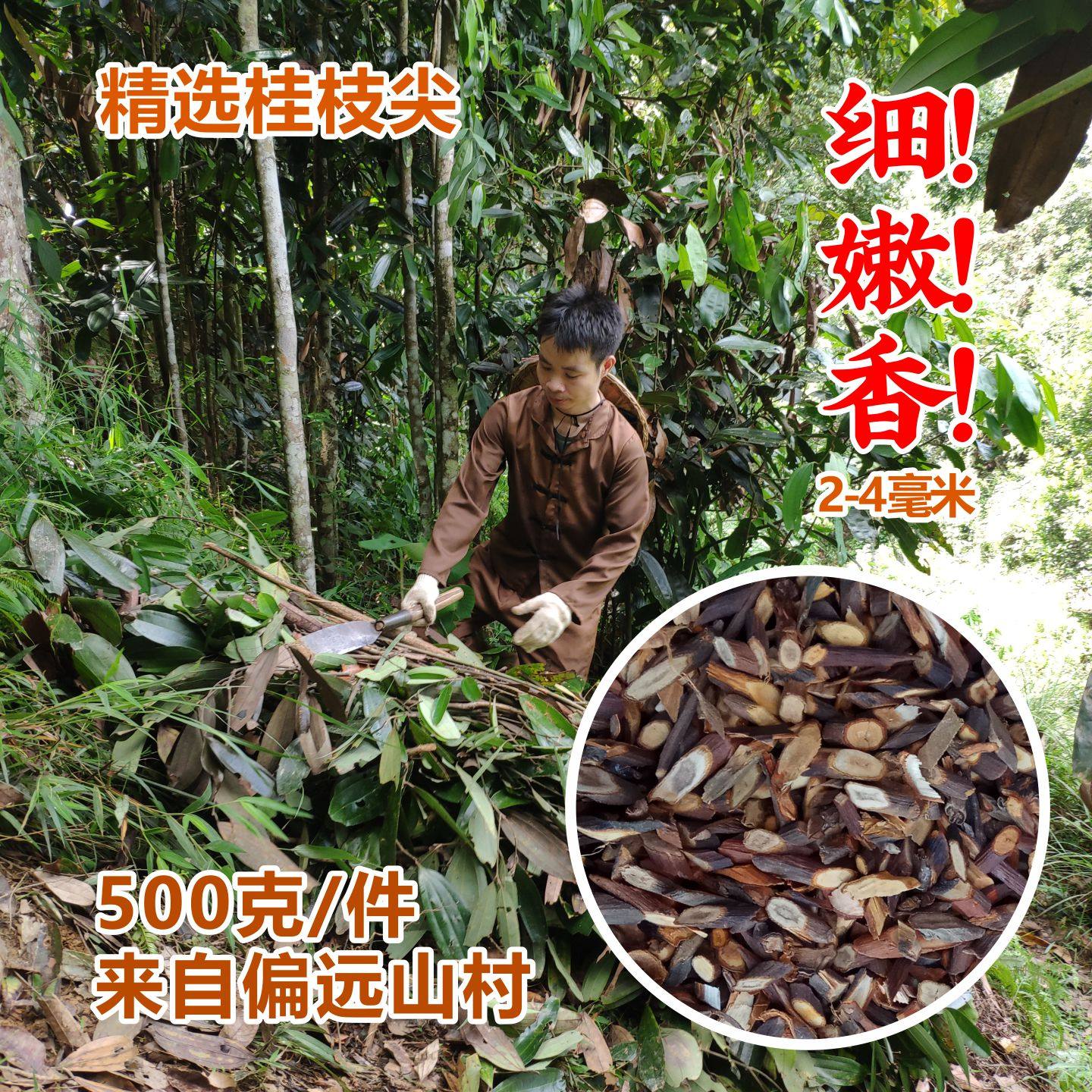 新货[买三送一]广西桂枝尖500g 精选食用特细嫩条中药香料干货