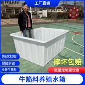 牛筋塑料水箱水桶加厚长方形养殖浅盆瓷砖卖鱼酿酒养鱼周转箱水箱