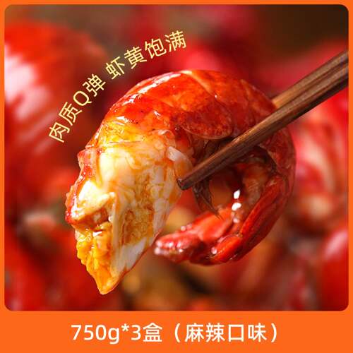 辰颐物语湖北潜江鲜辣龙虾750克3袋吮指小龙虾速冻锁鲜海鲜大虾