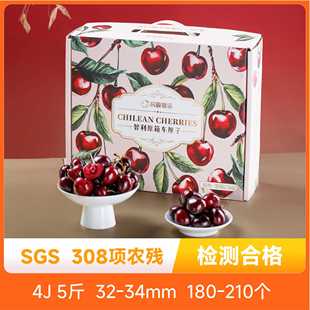 辰颐物语新鲜智利车厘子5斤4J3J2J原箱拉宾斯当季樱桃脆甜水果