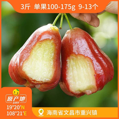 辰颐物语海南黑金刚莲雾3斤
