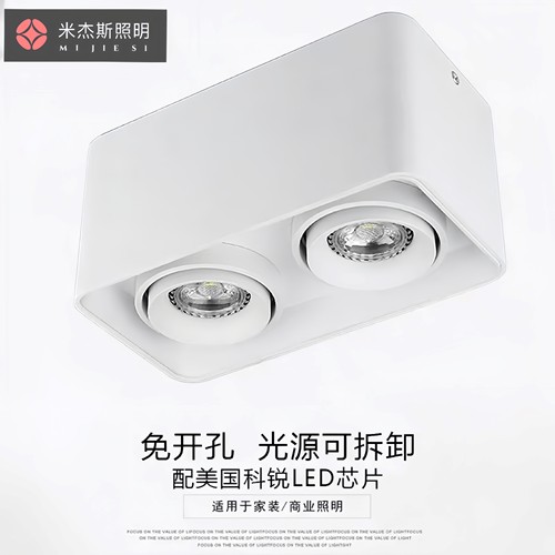 明装筒灯明装射灯双头灯客厅卧室