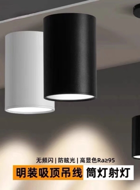 明装筒灯led20瓦30w圆形射灯饭店餐厅吊灯过道免开孔吸顶中性圆桶