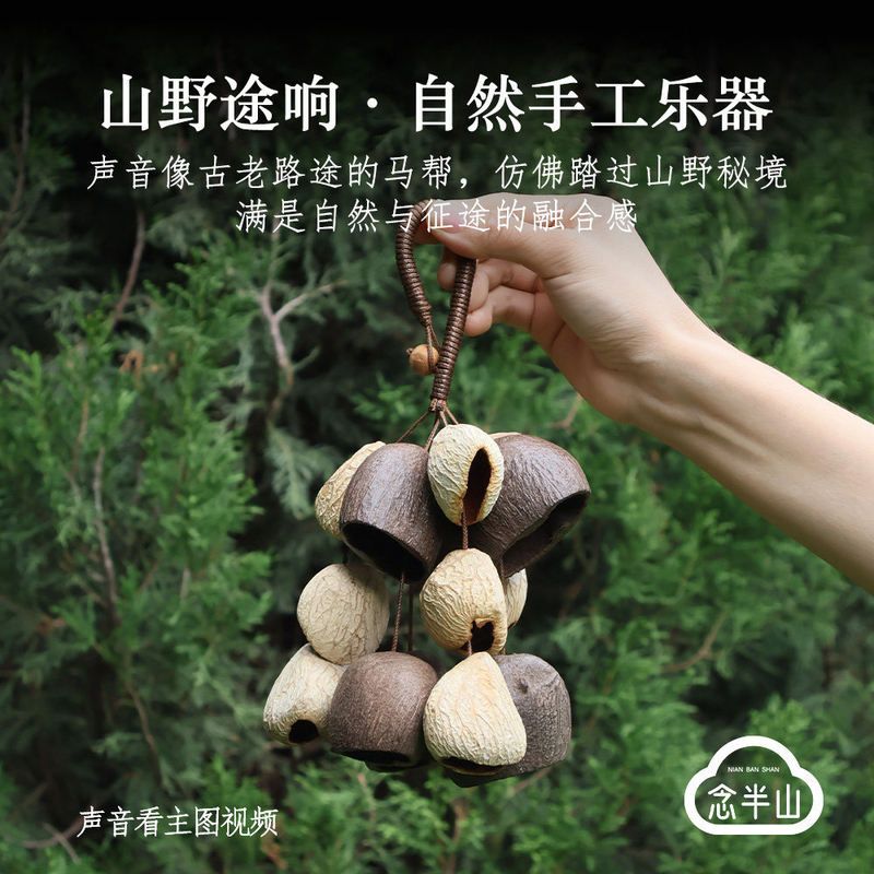 天然果壳手摇铃铛手工疗愈声音西洋乐器云南风铃装饰节日毕业礼物