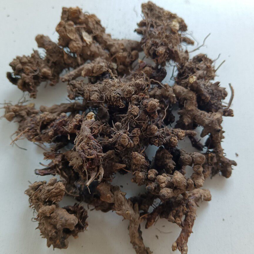 秦岭淫羊藿根 仙灵脾淫羊霍叶 淫羊藿根泡酒 淫羊藿根 500g包邮