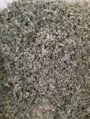 正宗陕西汉中野生艾叶5斤三年陈艾叶端午艾草做艾绒无杂无杆艾叶