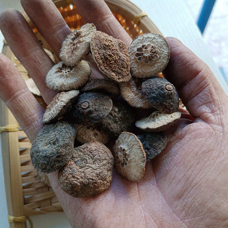 中药材 秦岭野生野生特级枳实 正品枳实茶 新鲜新货 500克包邮