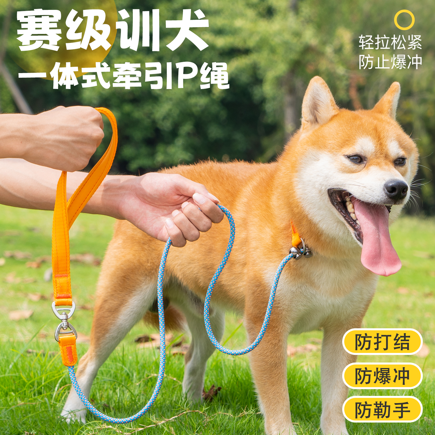 P绳牵引绳遛狗防爆冲小中大型犬