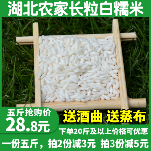 湖北特产农家长粒糯米包粽子甜米酒糯米饭酿酒白糯米 包邮 一份5斤