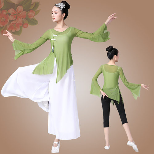 古典舞艺考演出网纱飘逸练功服