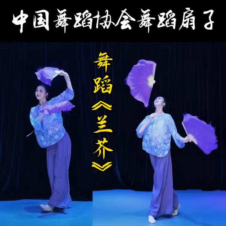 兰芥舞蹈胶州扇花鼓灯8寸真丝舞蹈扇双面秧歌考级艺考道具古典舞
