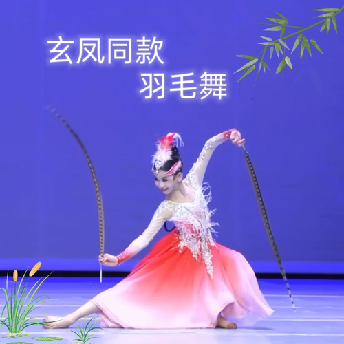 玄凤羽毛舞舞蹈扇子古典舞羽扇子舞羽毛道具表演出艺考专用