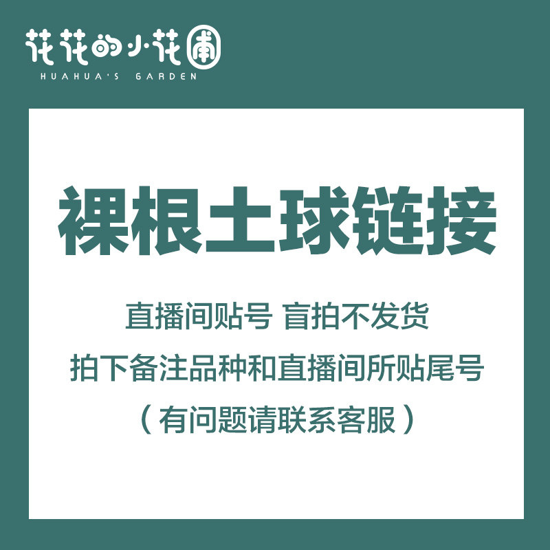 花花的小花圃裸根土球绣球链接拍下备注直播间所贴品种和手机尾号