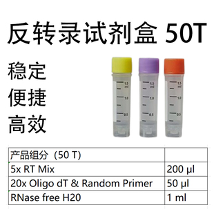 反转录试剂盒 一管化逆转录试剂盒 含DNA酶 反转录50T一步 FWKNE
