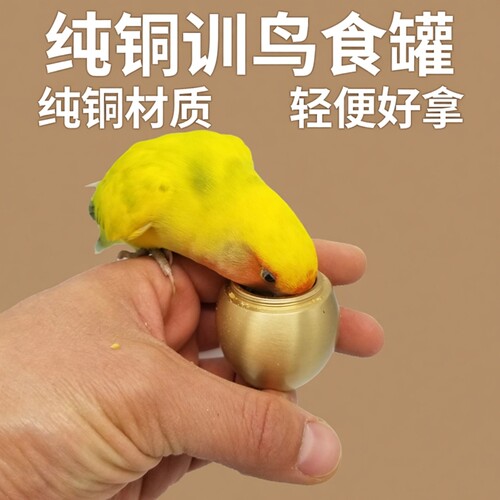 训鸟食罐鹦鹉技能放飞训练用品