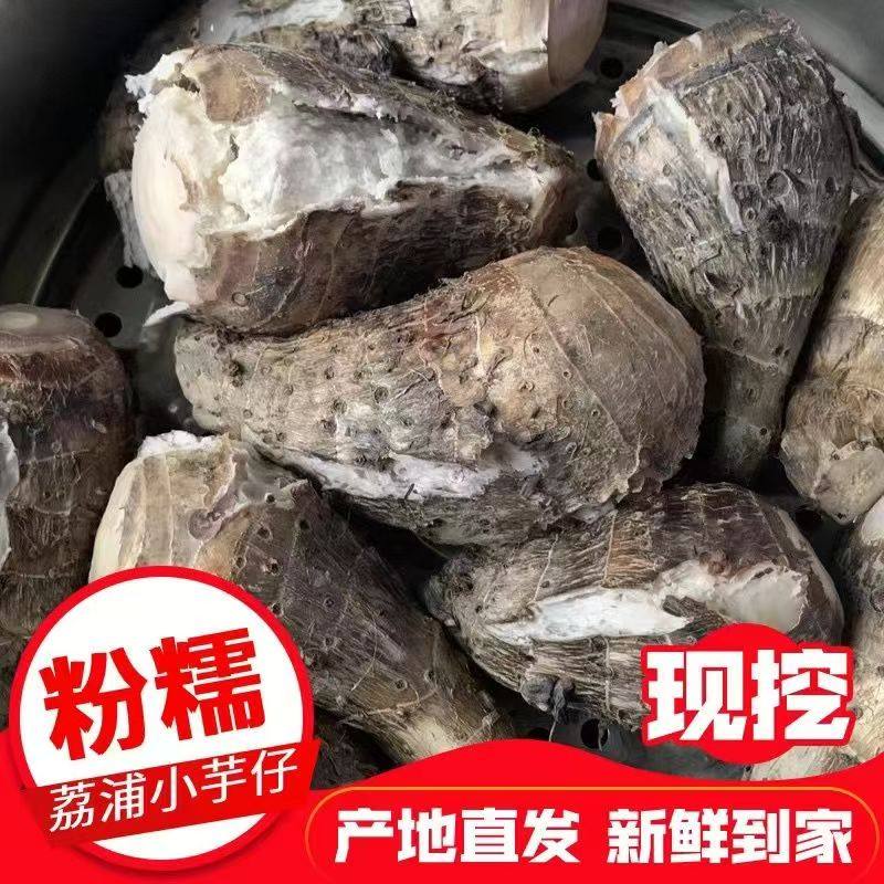 广西正宗荔浦小芋头仔粉香软糯槟榔芋香芋红芽毛芋子芋艿新鲜蔬菜