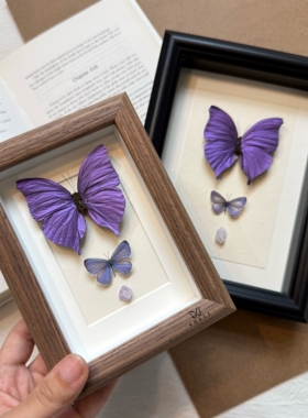 山意SHALL紫色闪蝶平替蝴蝶标本相框小众DIY摆件生日礼物家居装饰
