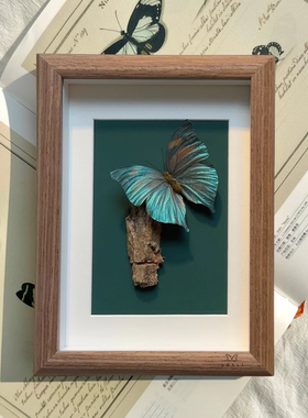 山意SHALL新中式闪蝶平替蝴蝶标本相框小众DIY摆件生日礼物装饰