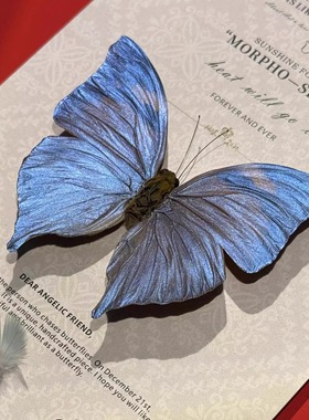 创意闪蝶平替真蝴蝶标本北欧装饰相框摆件生日礼物女生礼物