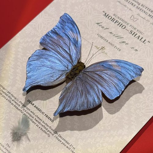 DIY创意闪蝶平替蝴蝶标本