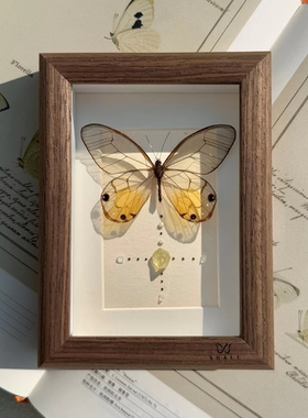 山意SHALL黄色透明蝴蝶标本相框小众DIY创意摆件生日礼物装饰手工