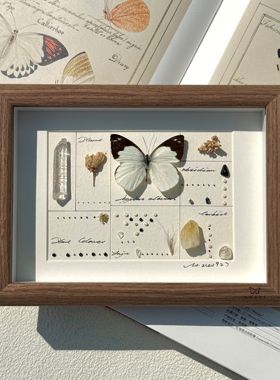 山意SHALL白色粉蝶原创手作蝴蝶标本相框小众DIY创意生日礼物装饰