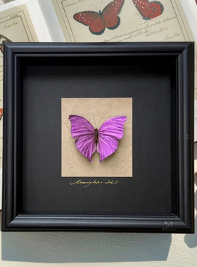 山意SHALL粉色闪蝶平替原创手作蝴蝶标本相框小众DIY生日礼物摆件