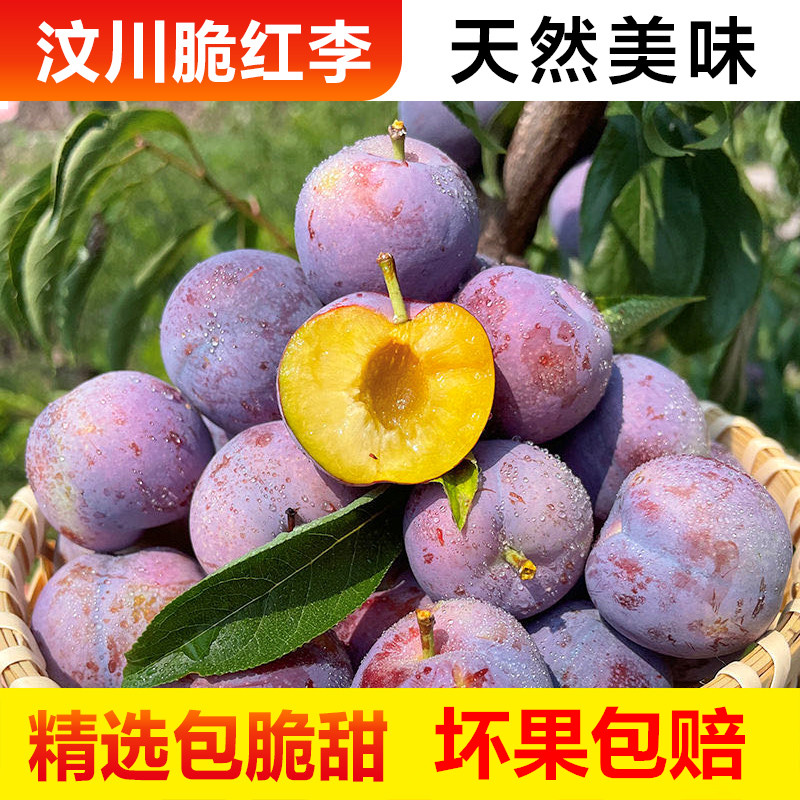 顺丰汶川脆红李子新鲜脱骨水果清脆奈李高山半边青红甜五月脆四川