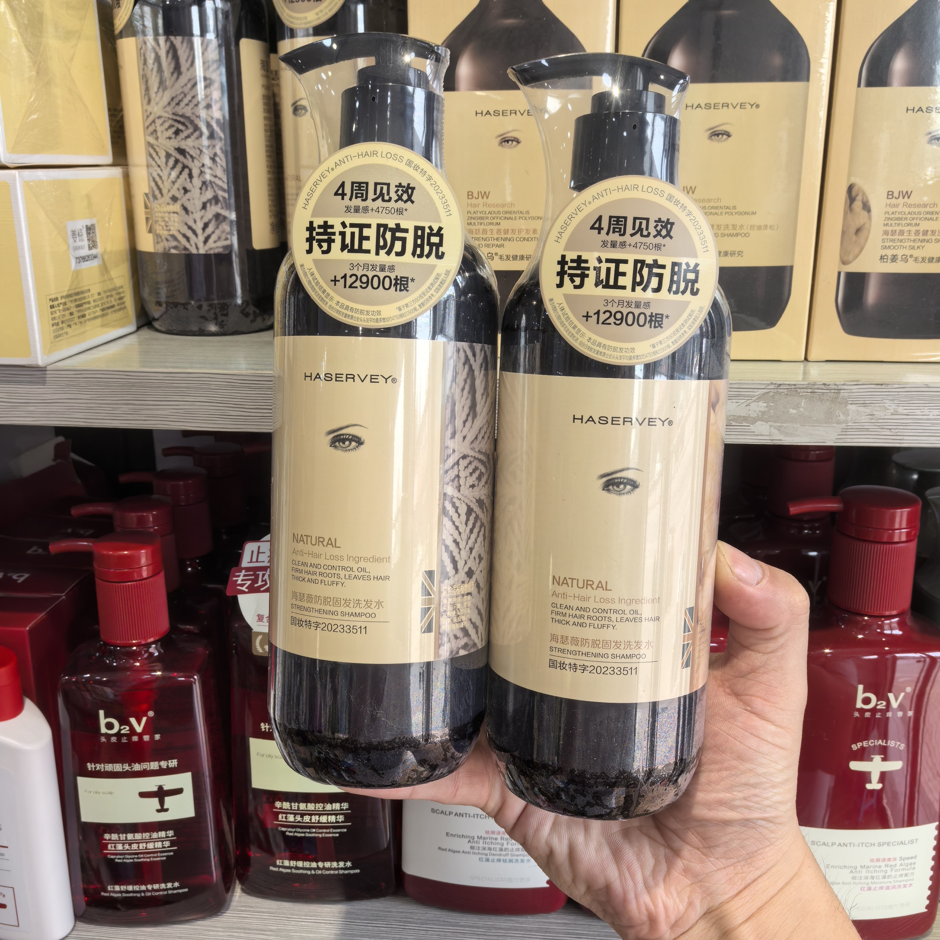 海瑟薇生姜侧柏叶防脱固发洗发水