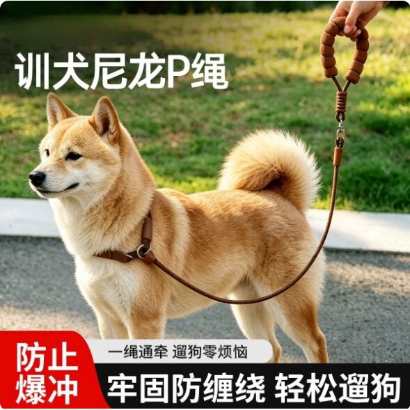 狗狗牵引绳p绳p链遛狗绳子中大型犬小型犬狗链子泰迪柴犬宠物用品