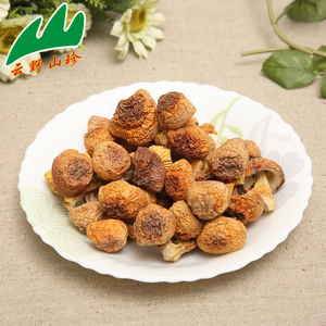 云野山珍姬松茸干货100克干姬松茸菌出口级食用菇菌干全店4份起卖