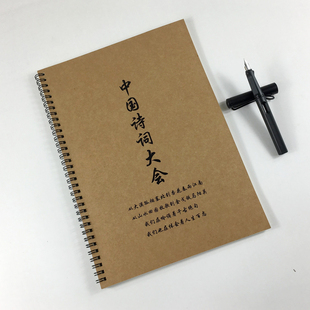 中国诗词大会董卿开场白语录台词楷书行书行楷正楷初高中学生字帖