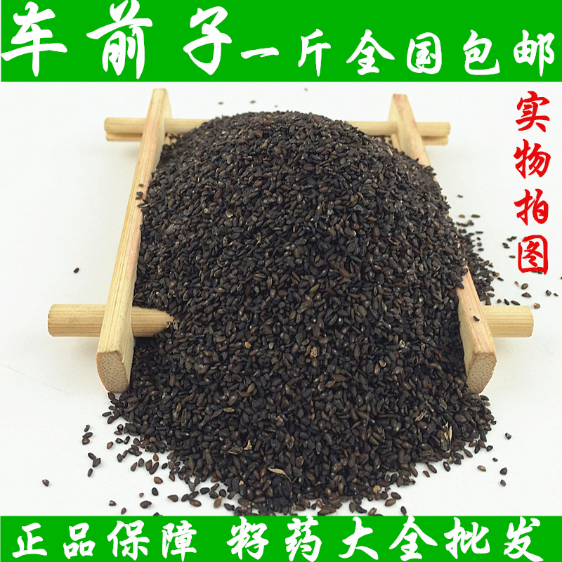 车前子 中药材优质野生正品优质无杂质车前草的种子散装500克包邮