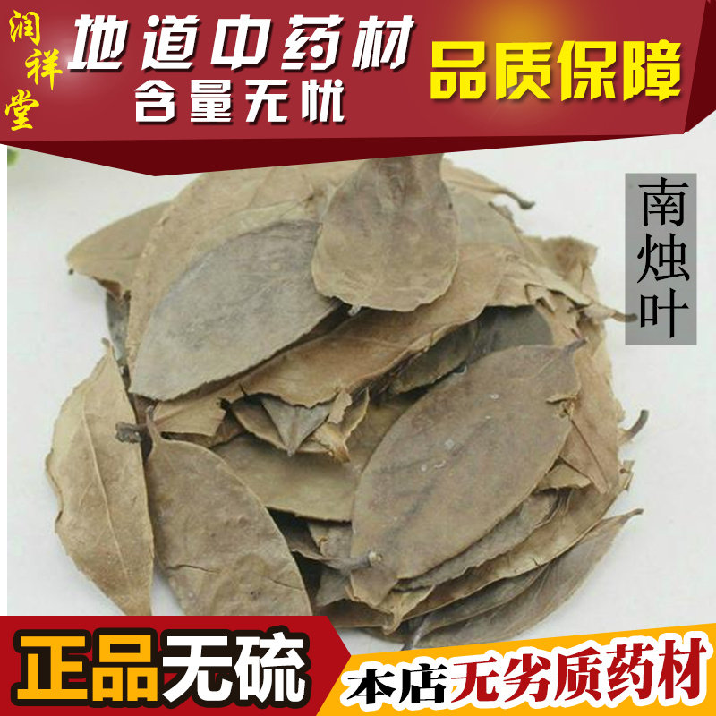 南竹叶 乌饭叶新鲜 南烛叶茶/南烛枝叶/墨饭叶/乌饭树叶500克包邮