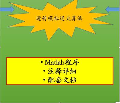 遗传模拟退火算法gasaMatlab程序 注释详细 配套文档