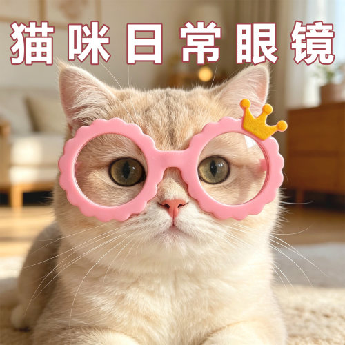 宠物护目镜猫猫户外防风镜