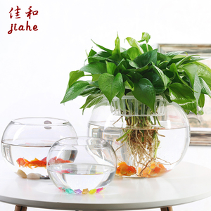 大号玻璃水培植物花盆办公室桌面水养绿箩铜钱草花瓶圆形透明鱼缸