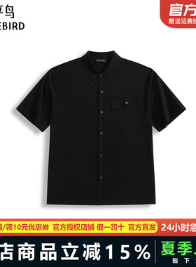 太平鸟男装POLO衫25夏季新款宽松缝标T恤 B1EDF2427