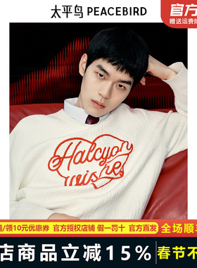 【商场同款】太平鸟男装 2025年春季新款圆领套头毛衣男B2EBF1124