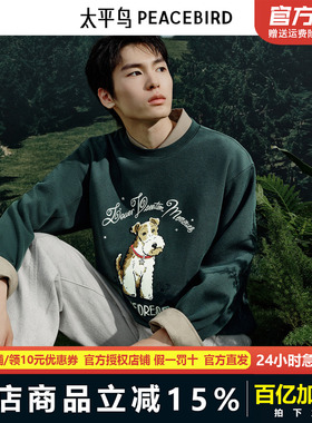 太平鸟男装 2025年春季新款圆领套头卫衣B1CRF1219