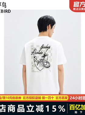 太平鸟男装 休闲T恤字母刺绣纯色圆领T恤男B1CNF2222