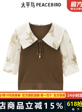 【商场同款】太平鸟女装年秋季新款相拼线套衫A1EEE3207
