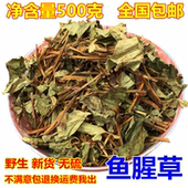 正品 泡水喝 鱼腥草粉 500g 中药材鱼腥草干 包邮 特级鱼腥草叶干货