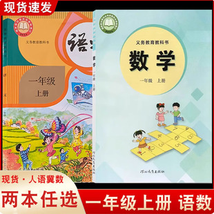 2025適用部編版 語文和冀教版 數學教材課本教科書一年級上學期語文 數學書全套2本 一年級上冊語文數學書課本小學1年級上冊人教版