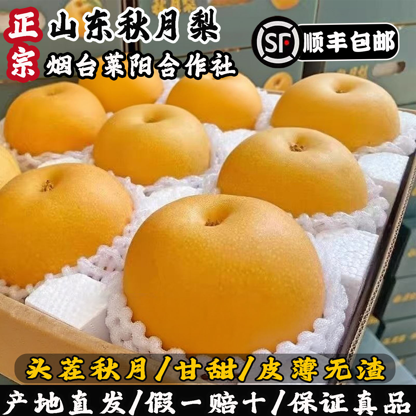 正宗秋月梨山东莱阳秋月梨新鲜水果应季整箱礼盒时令新鲜水果梨子