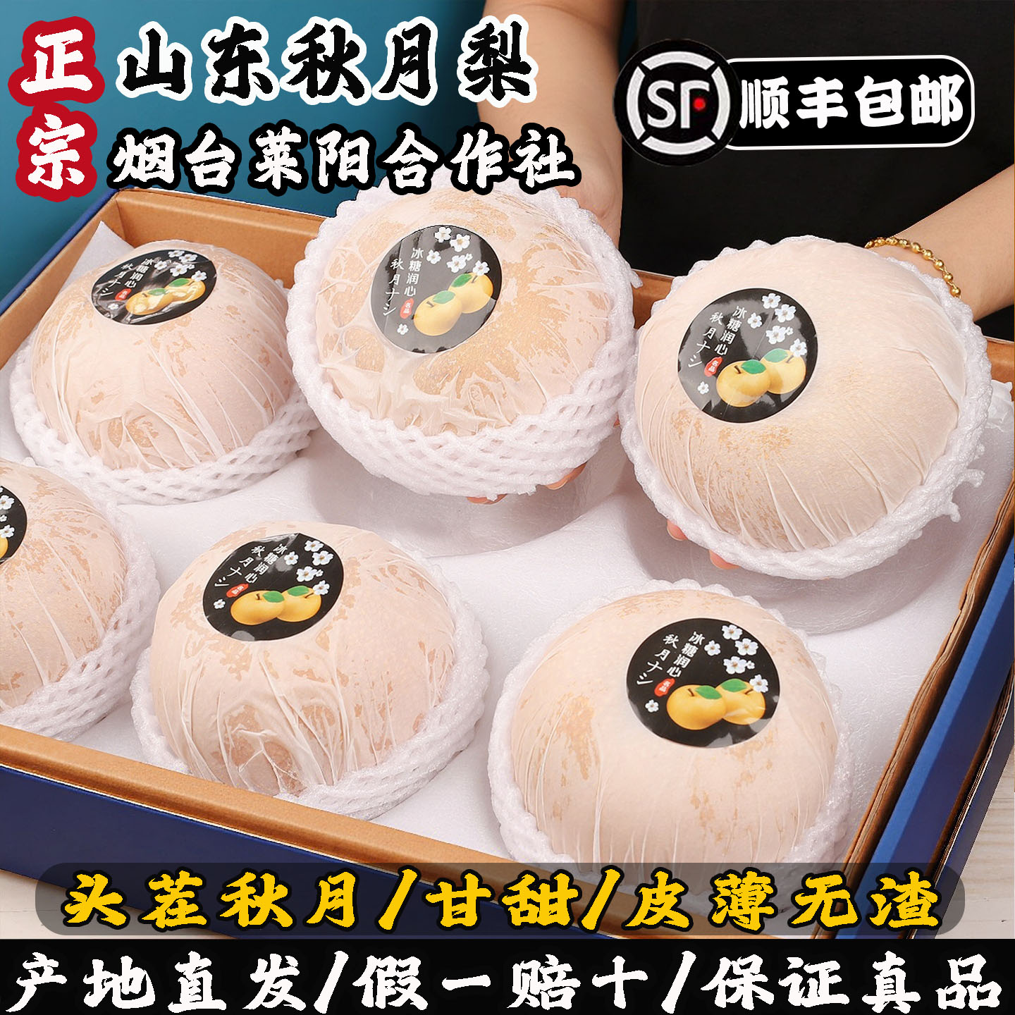 正宗秋月梨山东莱阳秋月梨新鲜水果应季整箱礼盒时令新鲜水果梨子