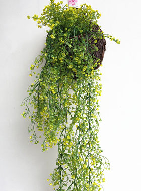 藤条金钟柳墙面装饰花卉仿真植物
