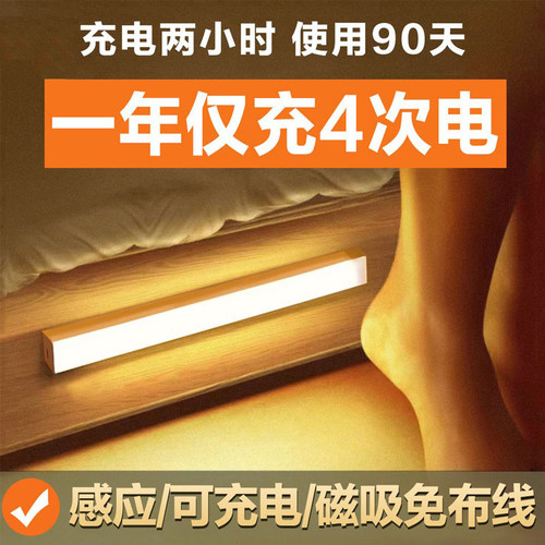 顶者LED长条感应小夜灯