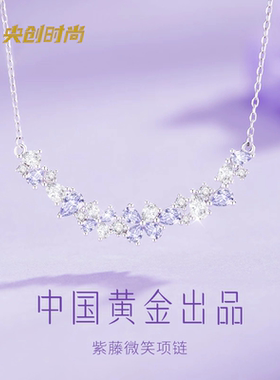 999纯银紫藤花项链女款2026新款轻奢小众不掉色生日礼物送女友