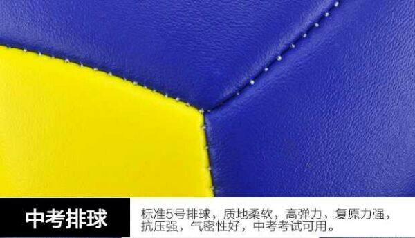 Ballon de volley-ball - Ref 2012233 Image 1